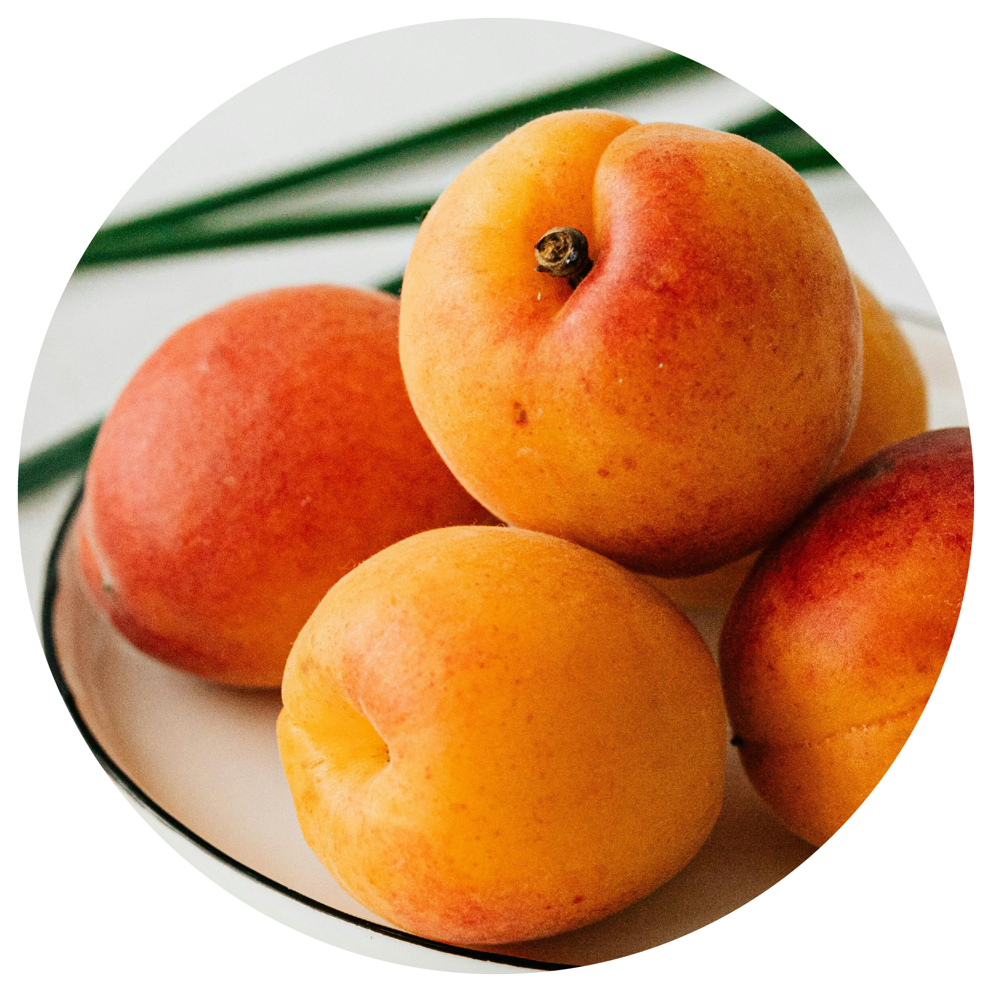 Apricot Ingredient